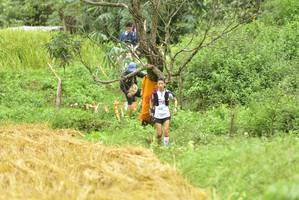 BIB: 
                            <button type="button" onclick="openModal(13435353)" class="btn btn-primary btn-sm float-right btn-popup" data-toggle="modal" data-target=".modal-high-quality">
                        <i class="fas fa-shopping-cart"></i> Add to Cart
                    </button>
                                            <button type="button" onclick="isThisMe(13435353, true)" class="btn btn-success btn-sm float-right btn-popup btn-isme hidden" data-toggle="tooltip" data-placement="bottom" title="นี่คือรูปของคุณใช่ไหม คลิกที่นี่เพื่อเอาเข้าอัลบั้ม">
                        <i class="fas fa-plus"></i> Add to album
                    </button>
                    <button type="button" onclick="isThisMe(13435353, false)" class="btn btn-warning btn-sm float-right btn-popup btn-isnotme hidden">
                        <i class="fas fa-ban"></i> Remove from album
                    </button>